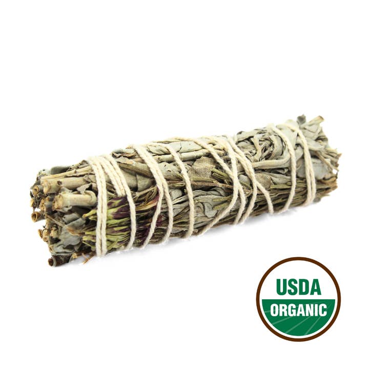 Green Sage 10 cm for wholesale by Green Tree