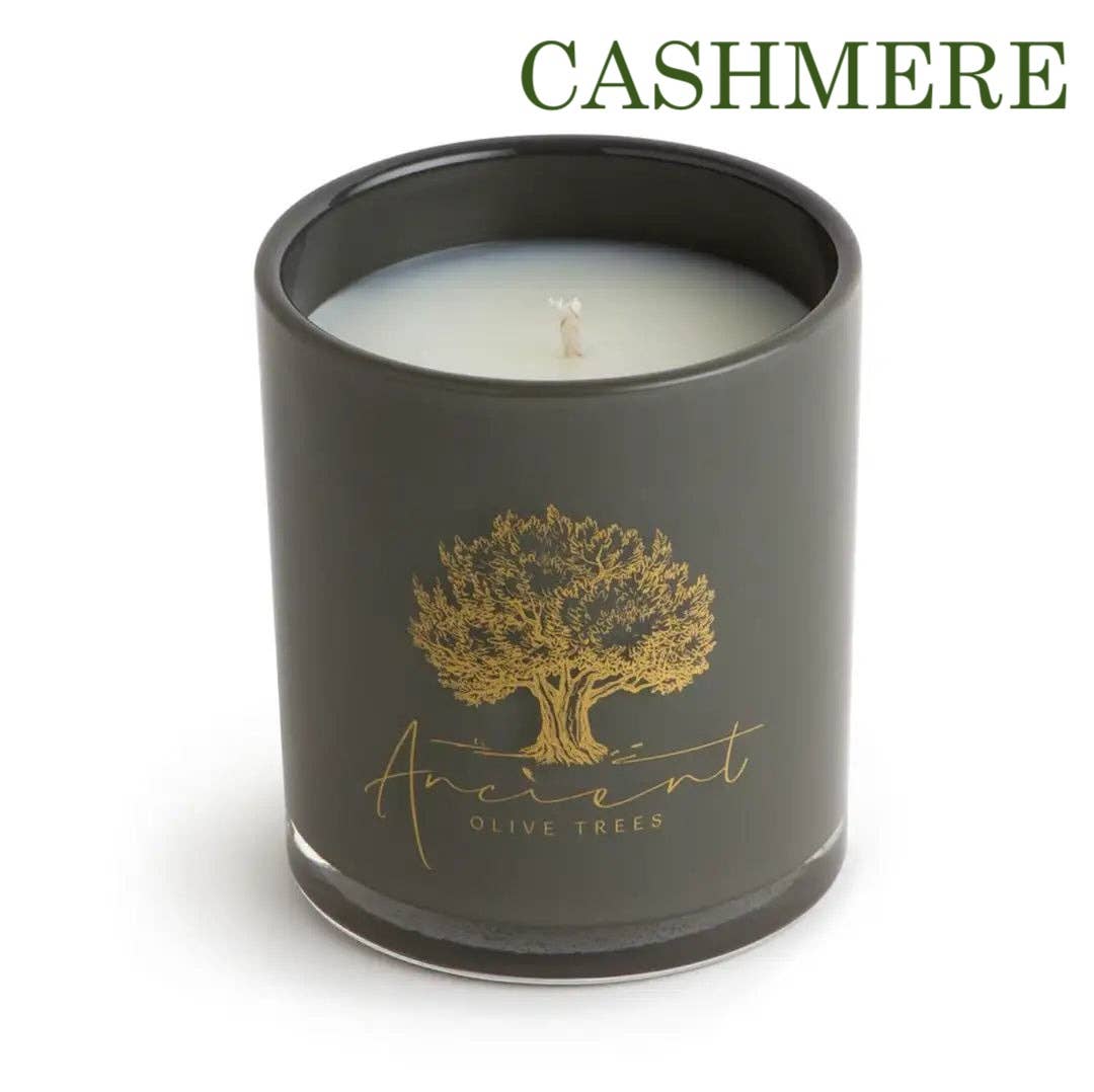 Ancient Olive Trees - Wholesale Pot/gevulde kaars - Luxe geurkaarsen, variétépakket8