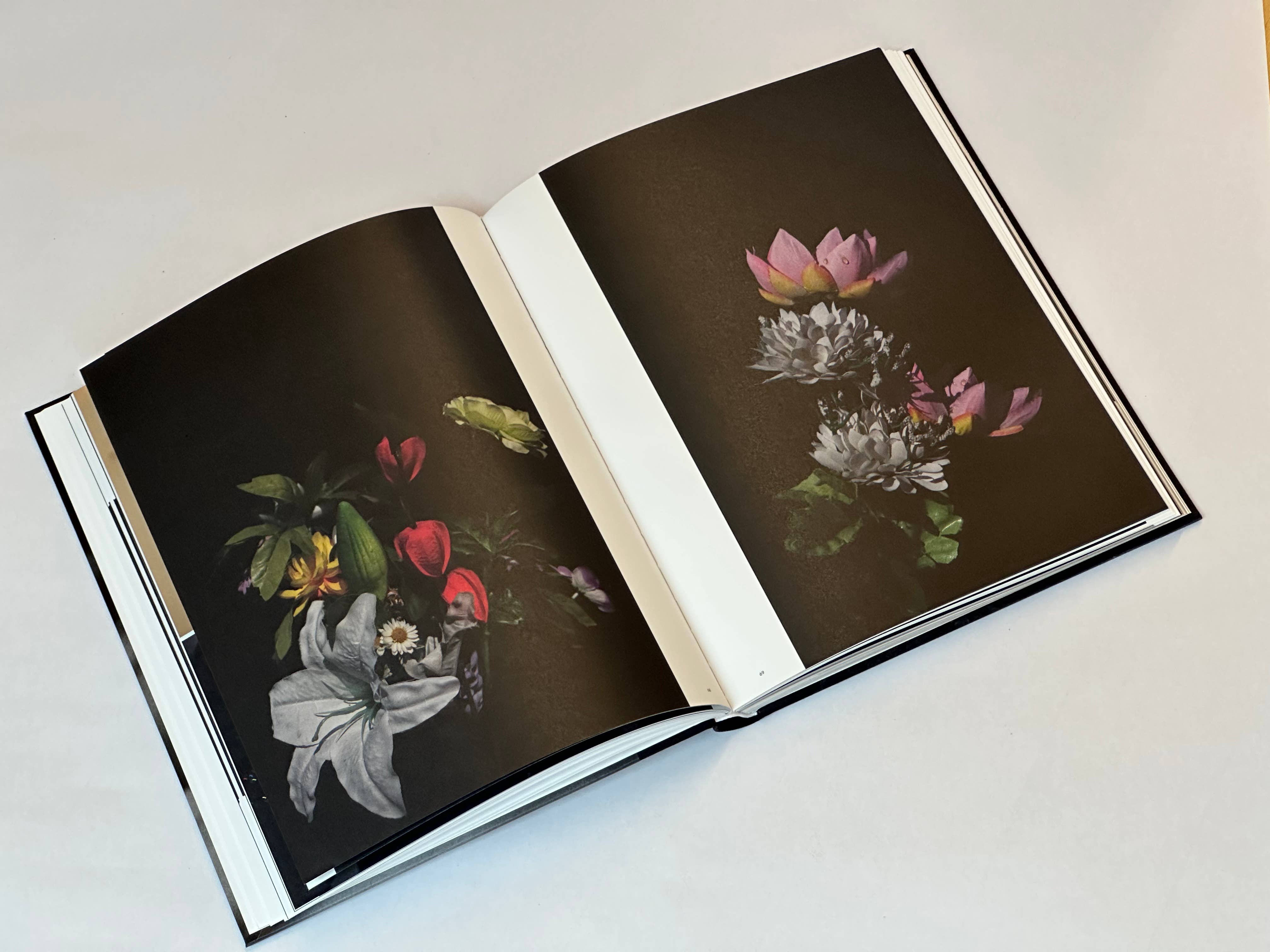 Penguin Random House LLC - Wholesale Display Book - Sakiko Nomura5