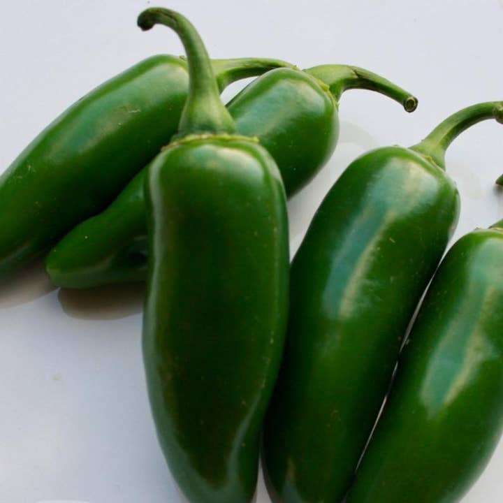 Hot Pepper Seeds - Early Jalapeño for wholesale by Sow True Seed