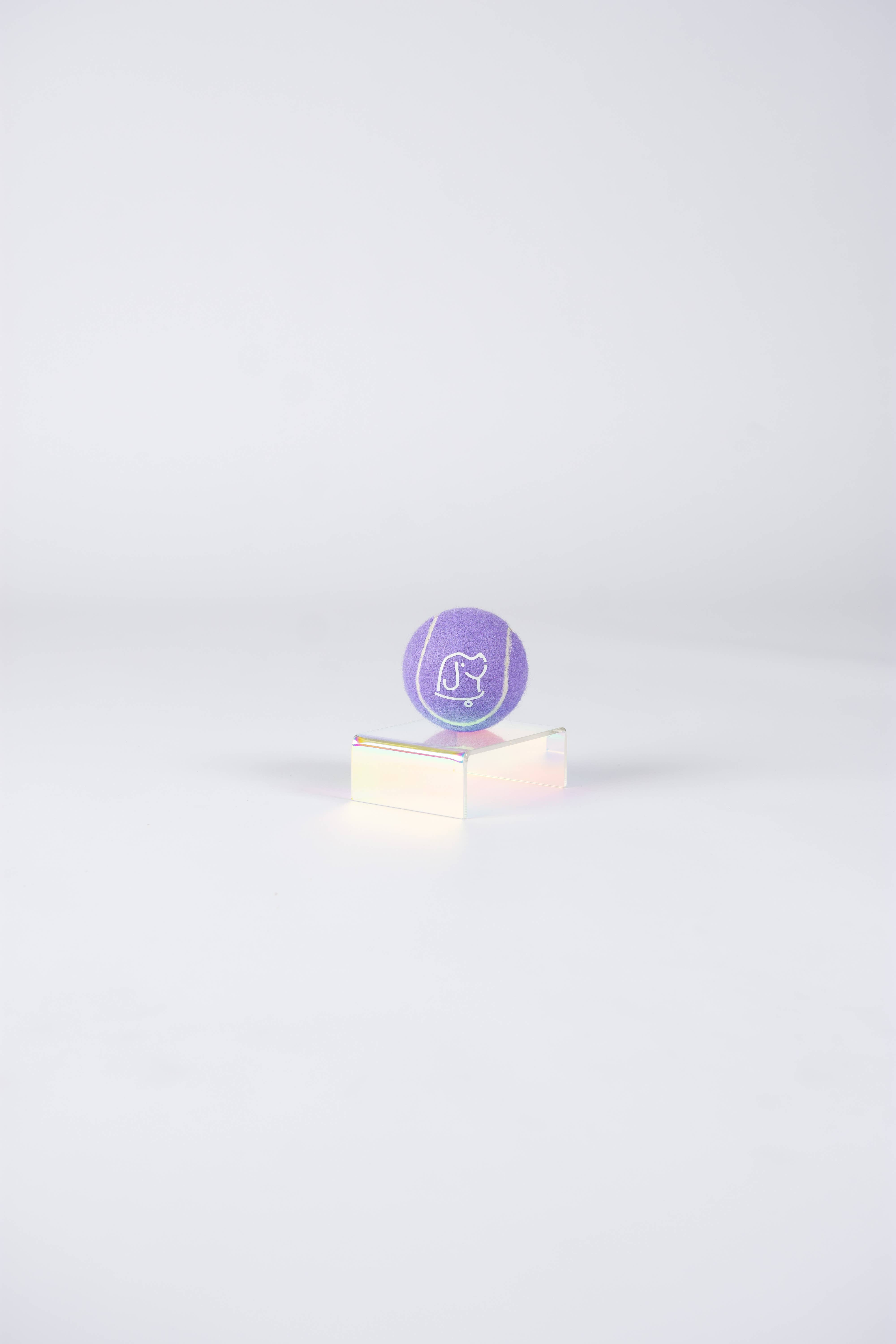 Bundle x Joy - Wholesale Pet Fetch Ball - Dog - Bundle x Joy Dog Purple Tennis Ball (Grade A)1