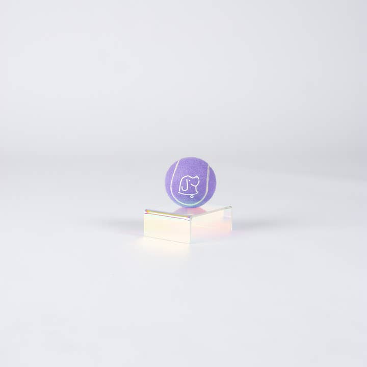 Bundle x Joy - Wholesale Pet Fetch Ball - Dog - Bundle x Joy Dog Purple Tennis Ball (Grade A)1