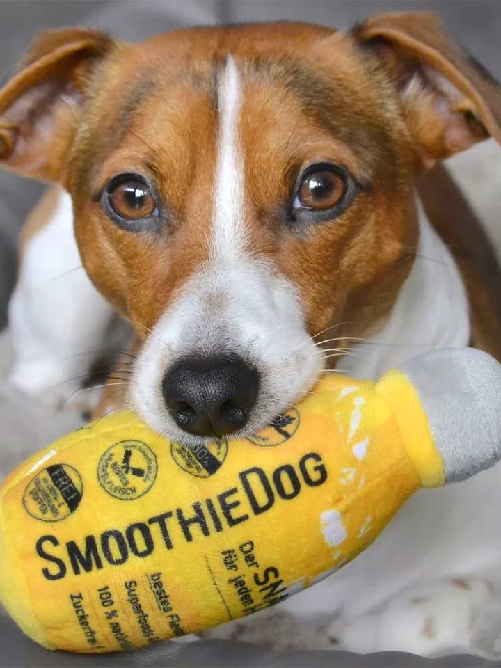 Giocattolo per cani con fischietto SmoothieDog per la vendita all'ingrosso da parte di SmoothieDog