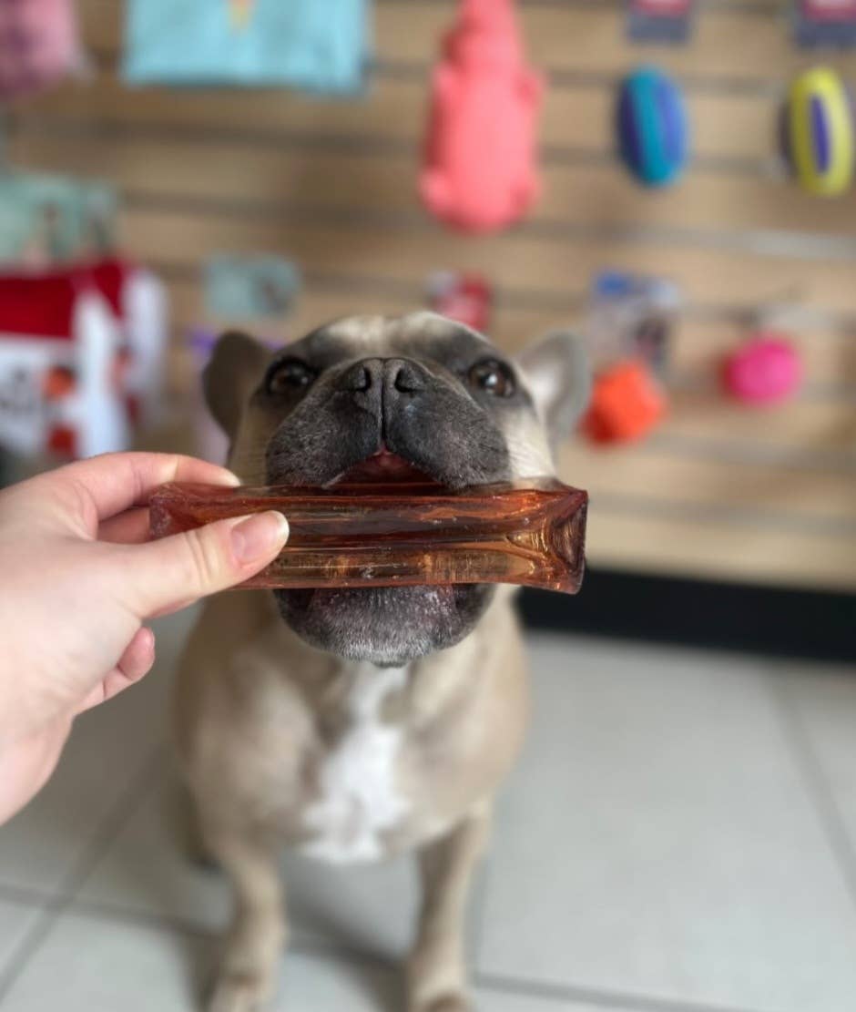 Wag & Bright Supply Co. - Vente Os à mâcher – chien - Mighty Marrows Collagen Dental Chew - Bœuf Spiruline - SM/LG25