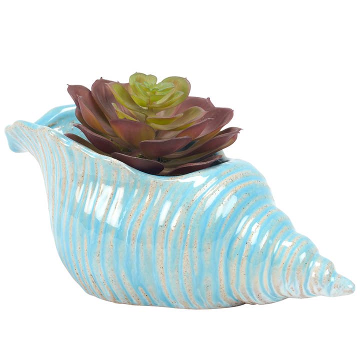 Conch Shell Planter for wholesale by Primitives by Kathy