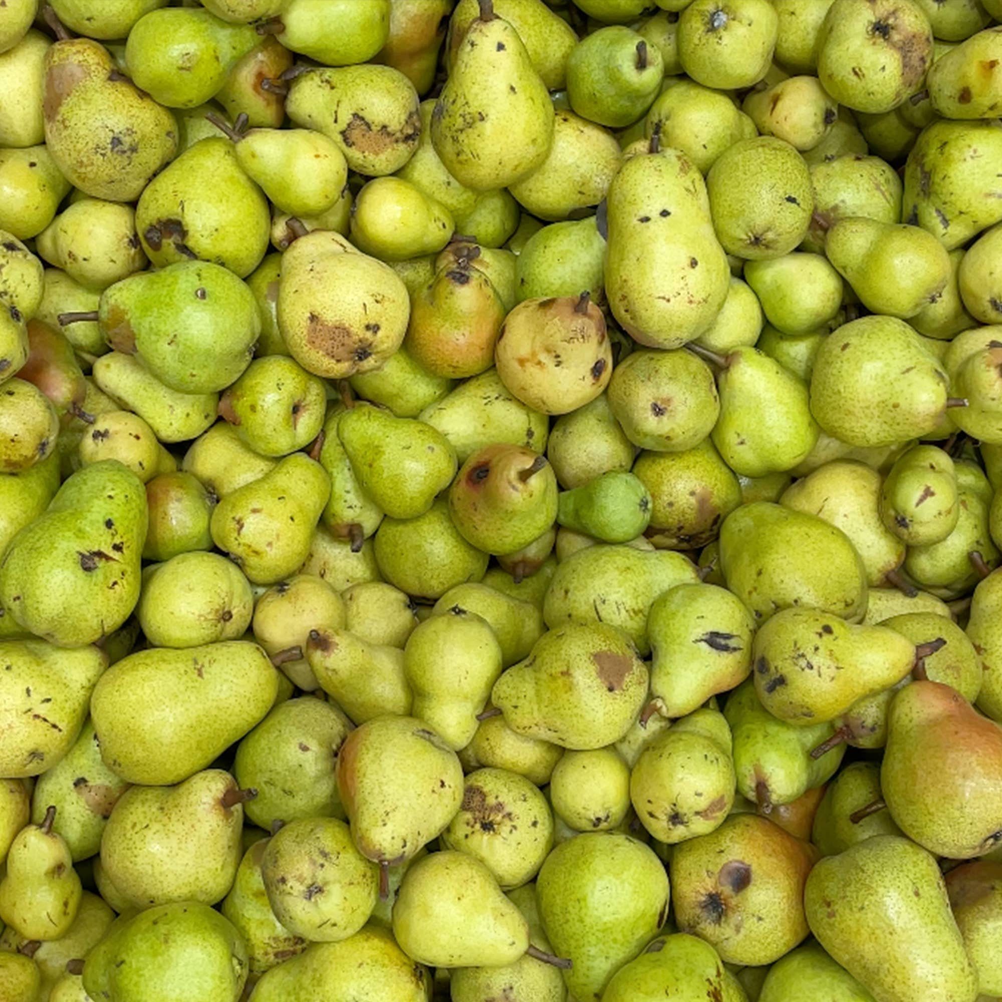 NON USA - Wholesale Non-Alcoholic Spirits/Wine/Beer - NON2 Caramelised Pear & Kombu [SEASONAL]4