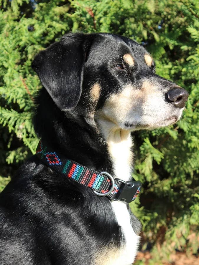 Coleira artesanal para cão - tira têcida asteca por atacado de Leenia