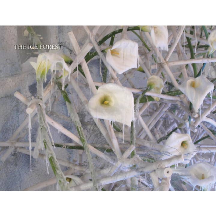 Schiffer Publishing - Wholesale Crafts, Hobbies & DIY - Taking the Flower Show Home2