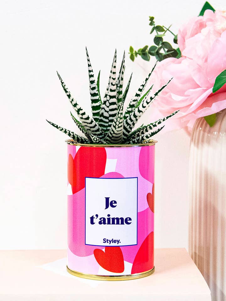 Aime - Saint Valentin - Cactus for wholesale by Styley