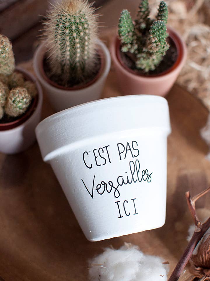 Blumentopf Humor: Das ist hier nicht Versailles für den Großhandel von Happypots.fr