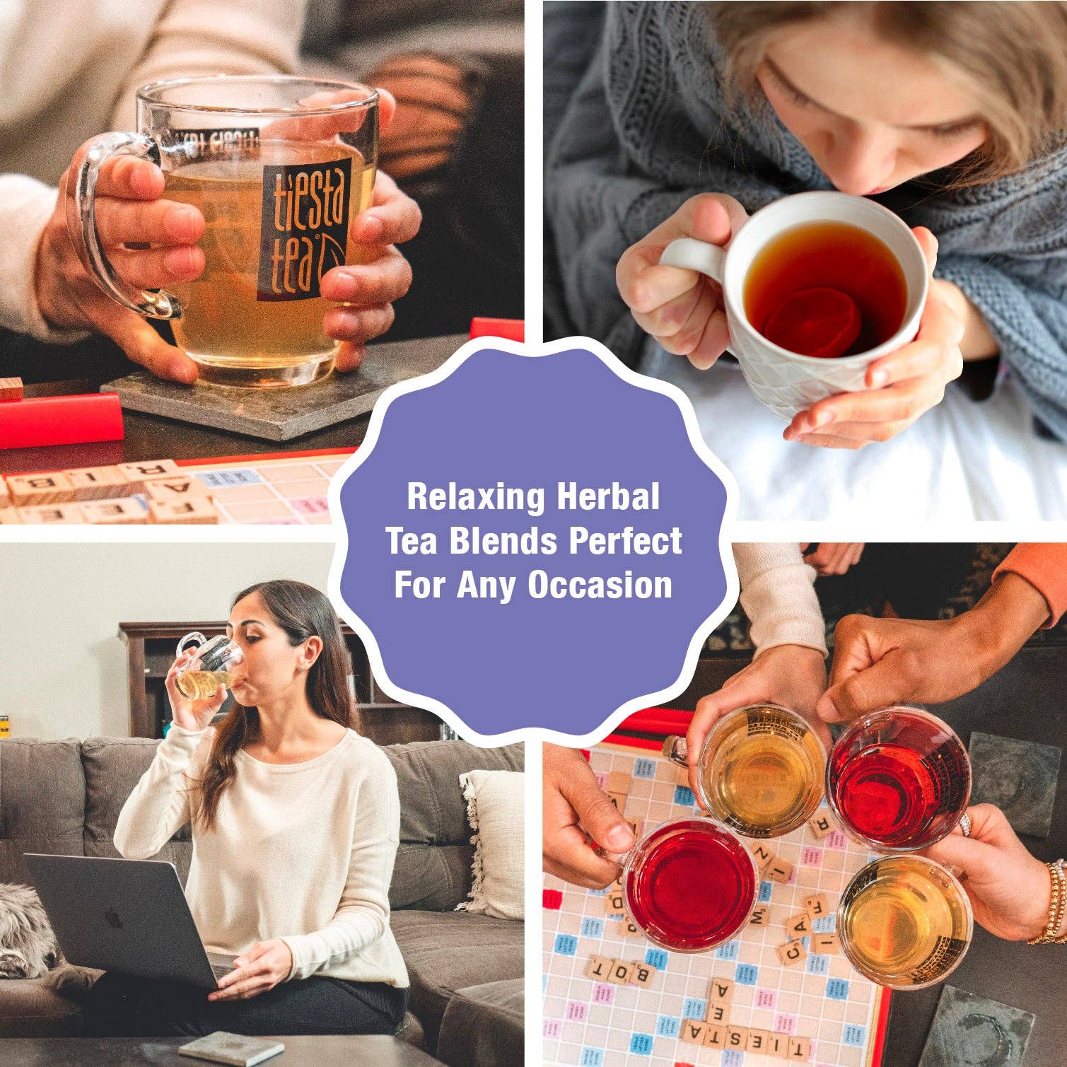 Tiesta Tea Company (loose leaf teas & accessories) - Vente Thé en vrac - Pâte à Brownie - Thé aux Herbes Chocolat Caramel13