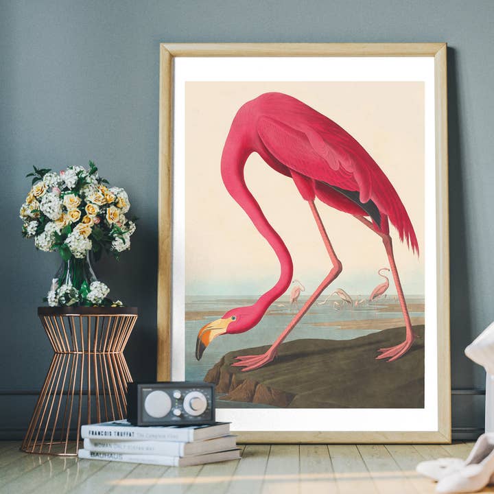 Ink & Drop - Wholesale Art Print - American Flamingo Vintage Antique Bird Print
