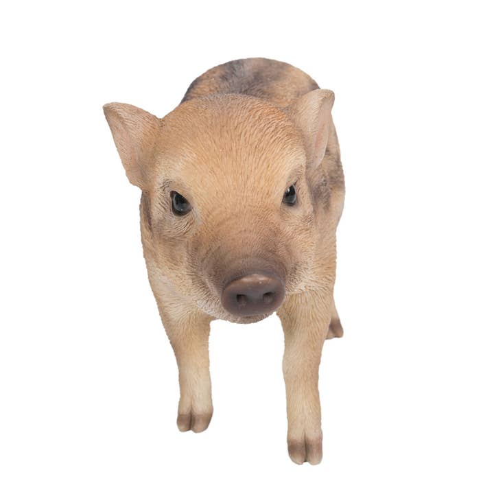 Hi-Line Gift Ltd. - Wholesale Decorative Figurine - Wild Baby Boar Standing3