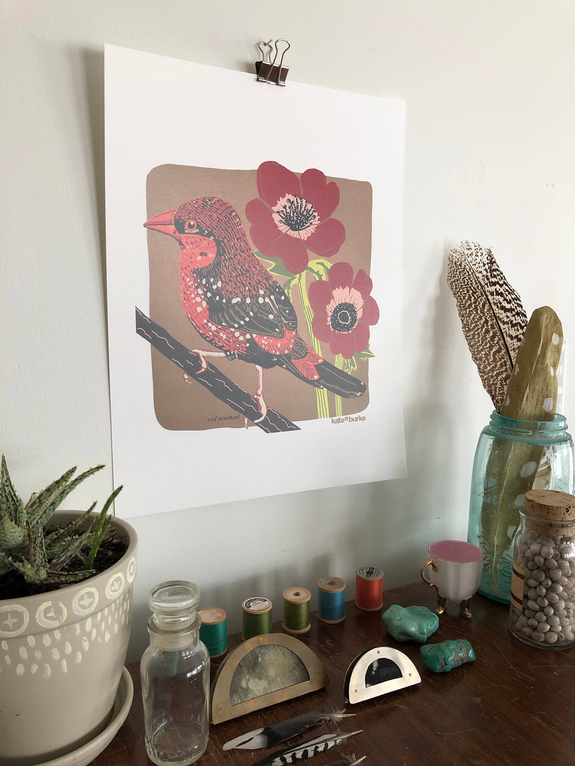 Kate E. Burke - Wholesale Art Print - Bird Series: Red Avadavat 11x14 Digital Print1