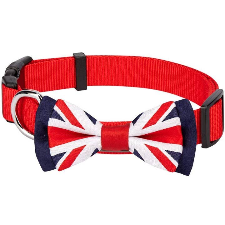 Blueberry Pet - Vendita all'ingrosso Collare - Cani - Collare per Cani con Papillon Union Jack