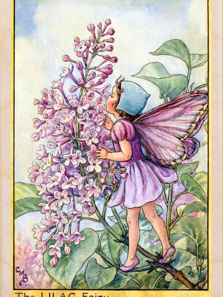 Fada Lilás - Cartões e ímanes ecológicos por atacado de THE WOODEN POSTCARD COMPANY