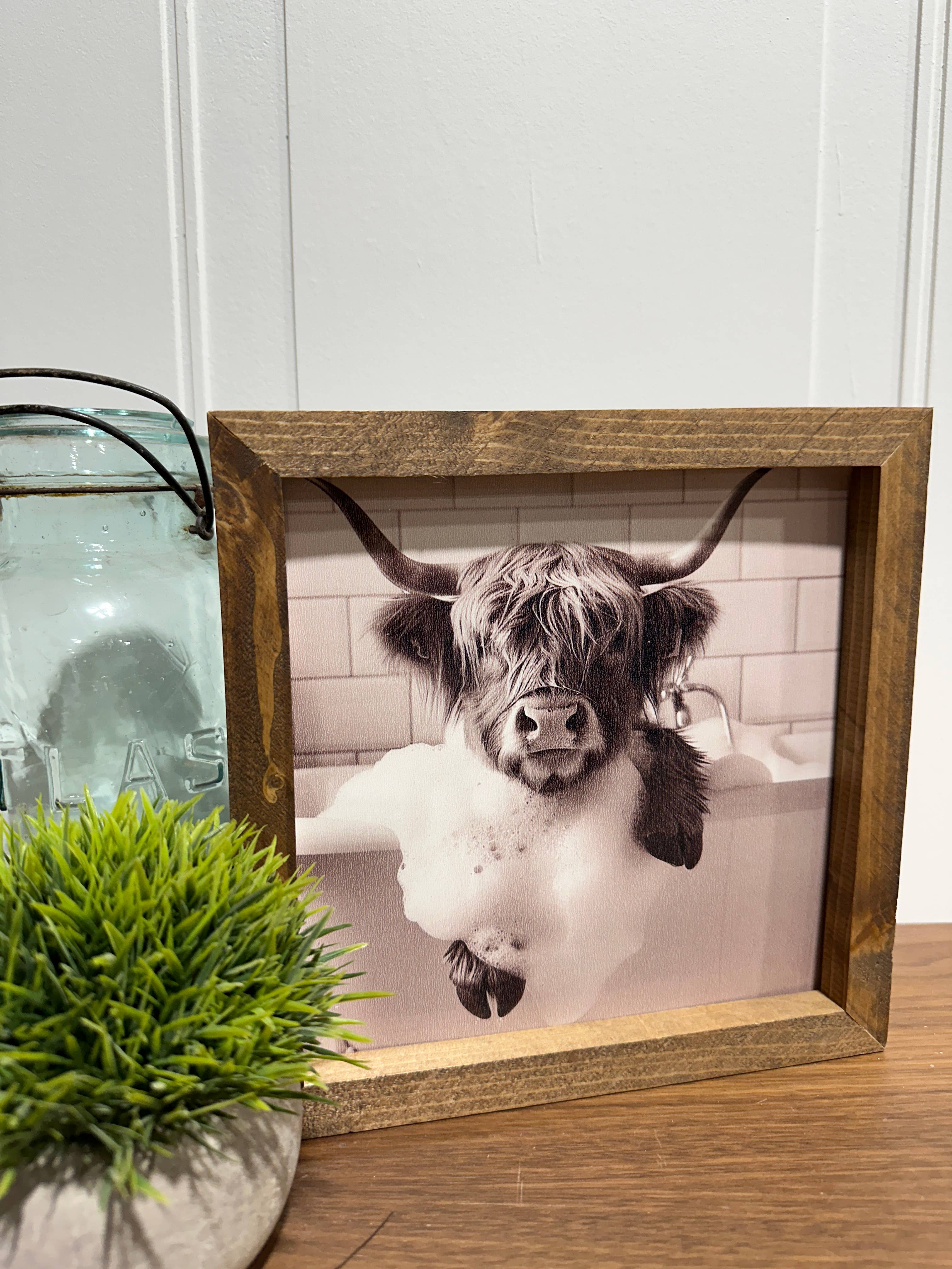 The Broken Board - Venta al por mayor Ilustración - Vaca Highland sumergida en la bañera3