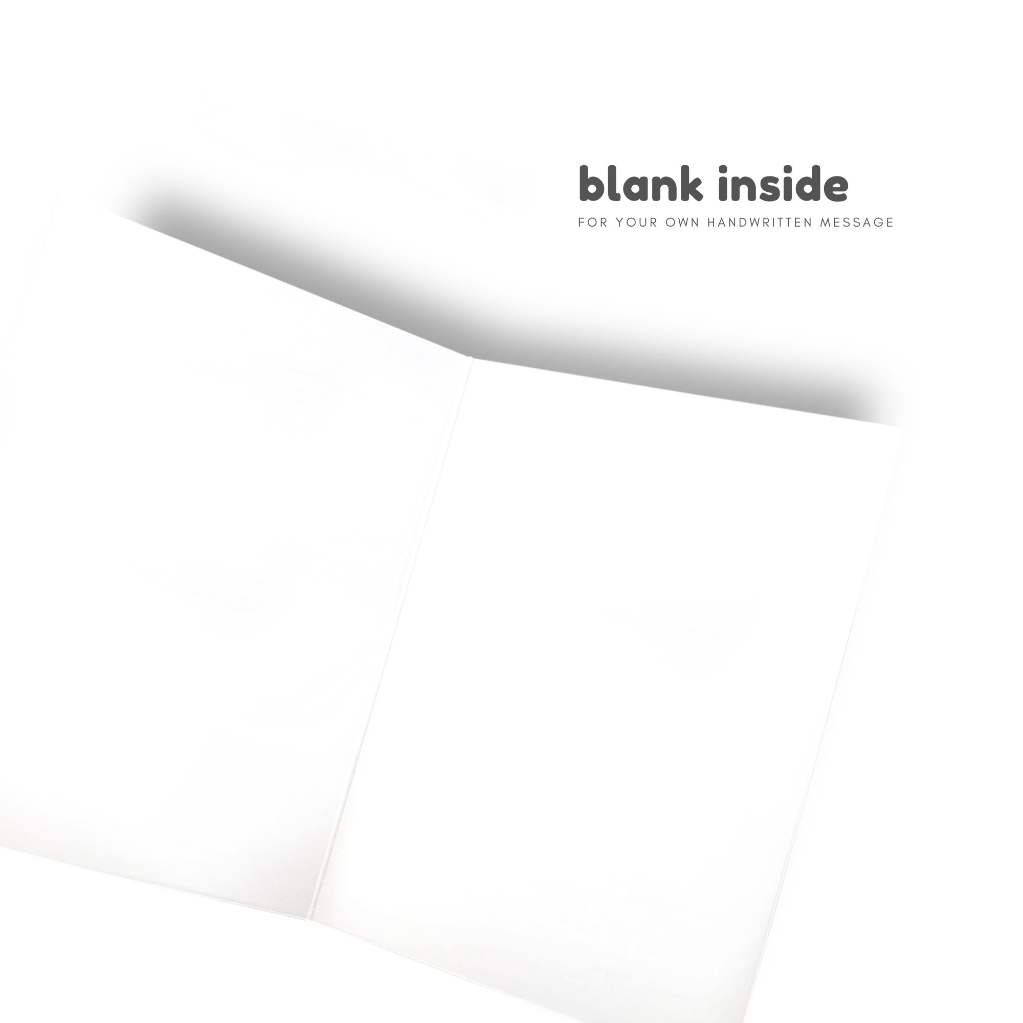 Sleazy Greetings - Wholesale Housewarming Card - Moving Is Fun (Said No One Ever)1