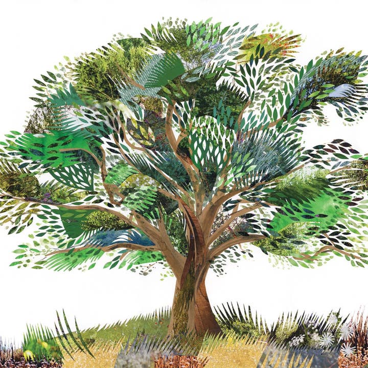 Oak Tree - Fine Art Print for wholesale by Kate Slater