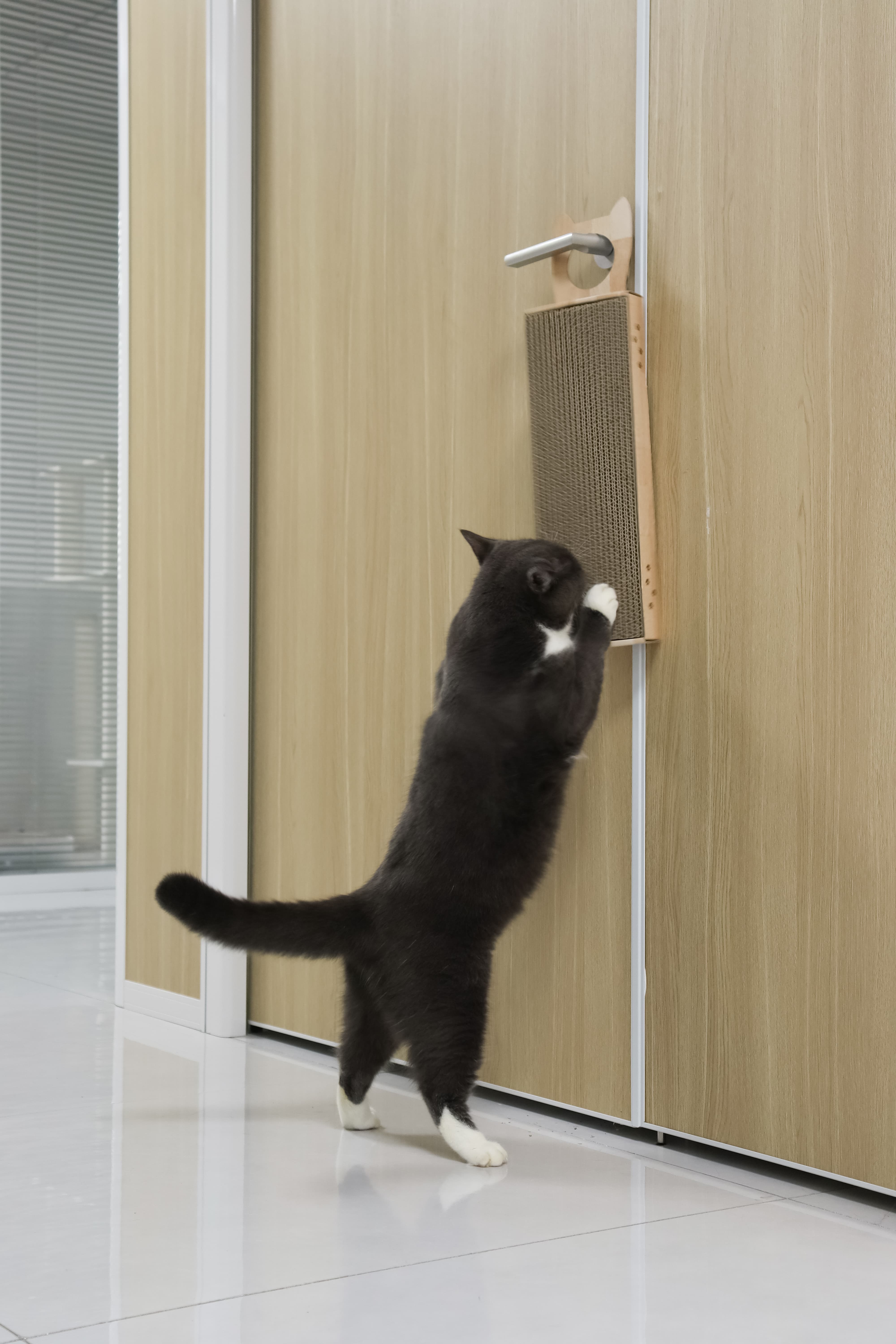 MOON-X USA, INC. - Wholesale Pet Scratcher - Cat - Hang & Scratch Doorknob Scratcher (Oak)10