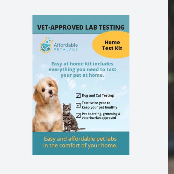 Easy Home Kit: Affordable Pet Labs Complete Urinalysis with Microscopic Evaluation For A Cat for wholesale by Affordable Pet Labs