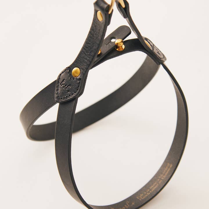 Muso & Co – Großhandel Haustiergeschirr – Hund – Klassisches Geschirr aus pflanzlich gegerbtem Leder15