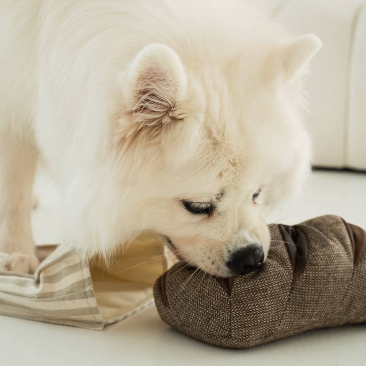 Lambwolf Collective - Wholesale Pet Toy - Dog - RYE //ENRICHMENT DOG TOY