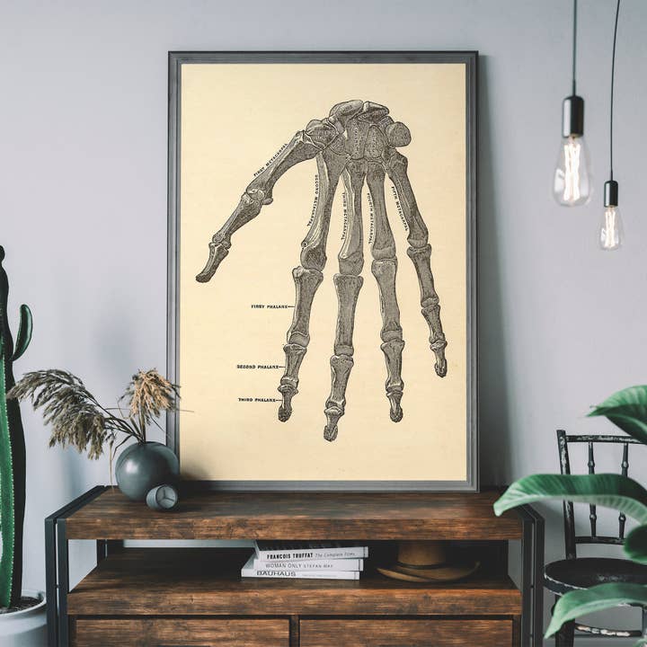 Illustration manuelle vintage d'un squelette médical pour la vente par Ink & Drop