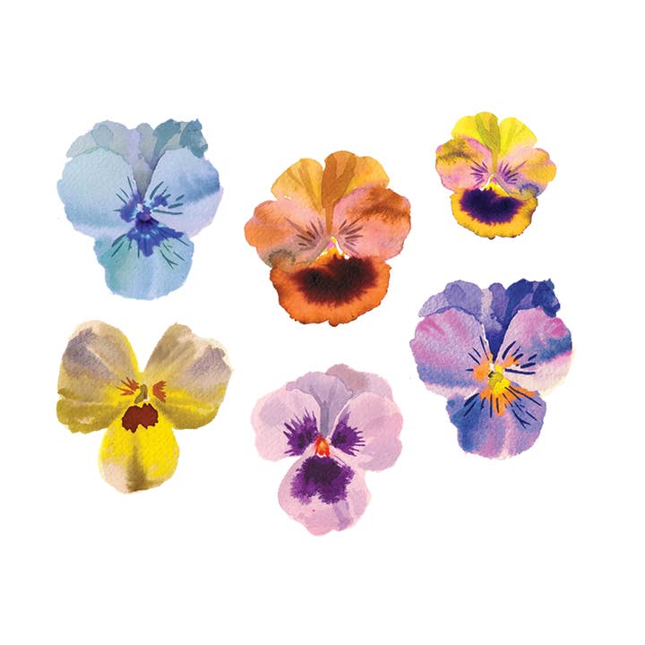 Pansies Tattoo Pair for wholesale by Tattly