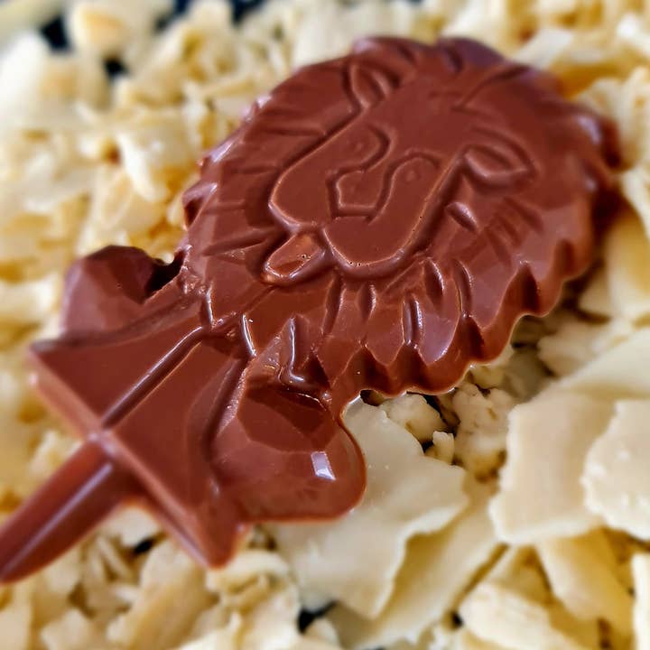 Cwtsh Chocolate – wholesale Choklad – Choklad Lion Lollipop