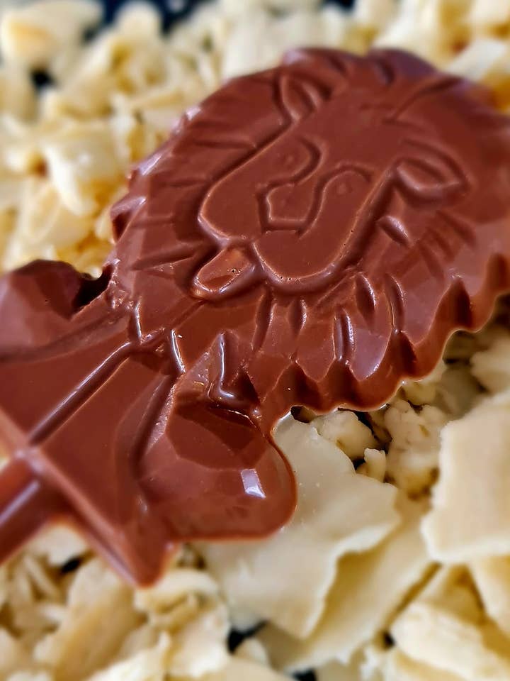 Piruleta de león de chocolate para venta al por mayor de Cwtsh Chocolate