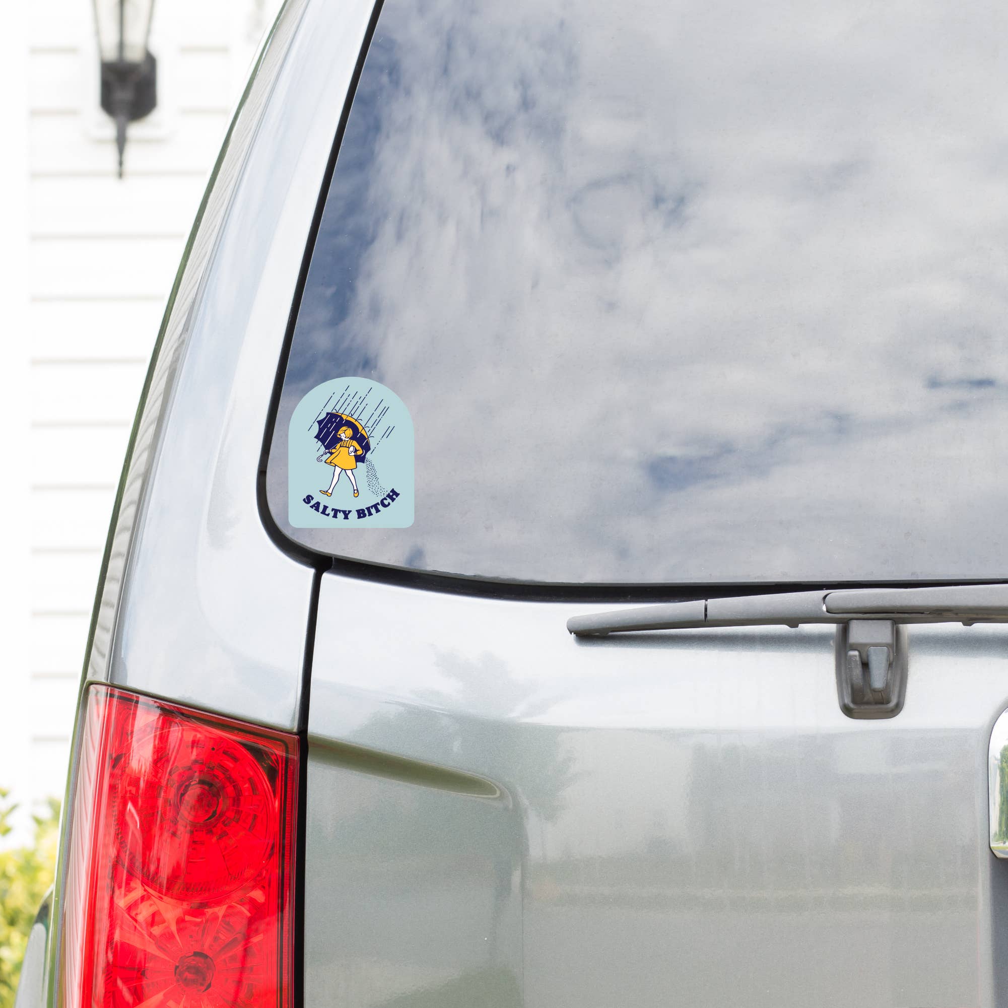 Juju and Moxie - Wholesale Phone & Laptop Stickers - Salty Bitch Vinyl Sticker3