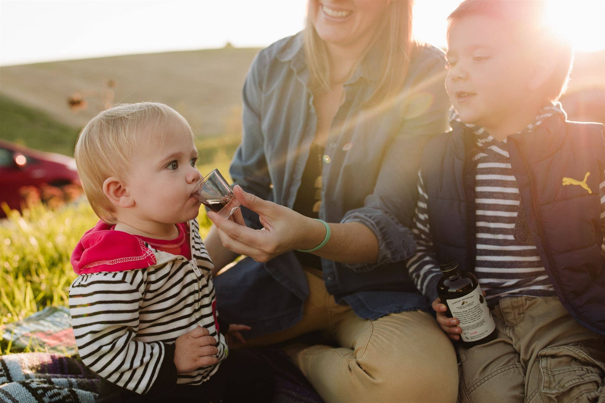 Red Root & Co – Suplemento/vitamina oral por atacado – Xarope de Sabugueiro para Reforço Imunitário | Tónico de Bem-Estar2