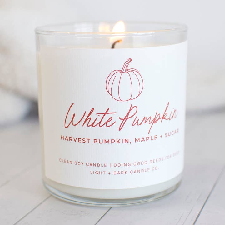 Citrouille Blanche | Citrouille de Récolte, Bougie en Cire de Soja Érable + Sucre pour la vente par Light + Bark Candle Co.