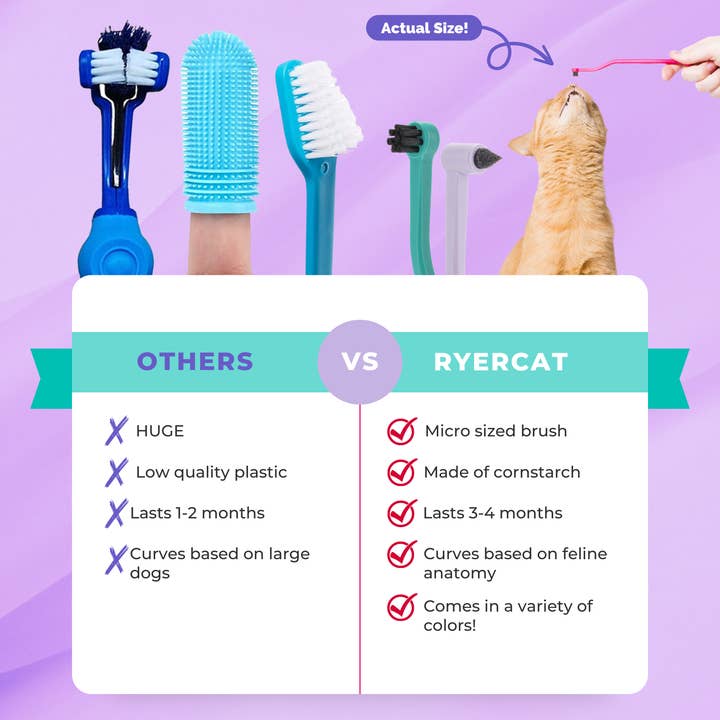 RYERCAT - Wholesale Pet Brush - Cat/Dog - Pack of 2 Cat Toothbrush Micro Head & Dual Sided11