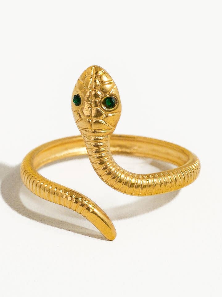 Einstellbarer Echidna Schmuckfreier Schlangenring aus Edelstahl für den Großhandel von Flânerie by MAIQ