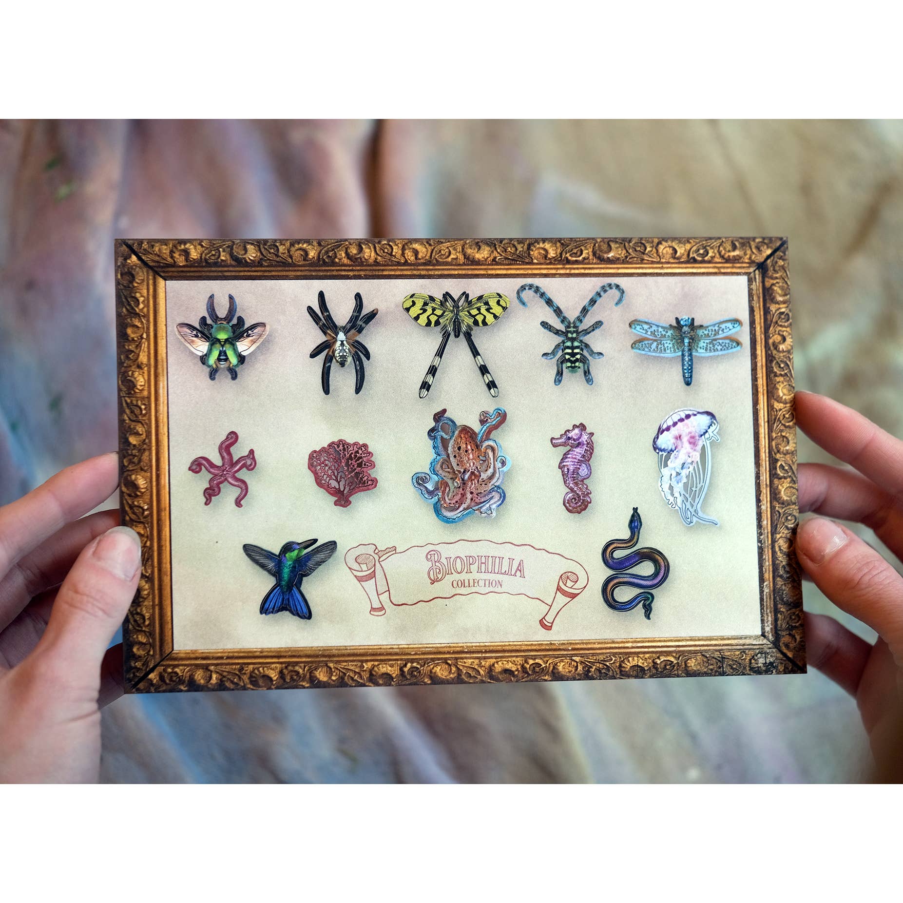 Moth and Myth - Wholesale Decorative Figurine - 'Biophilia' Micro Specimen Collection8