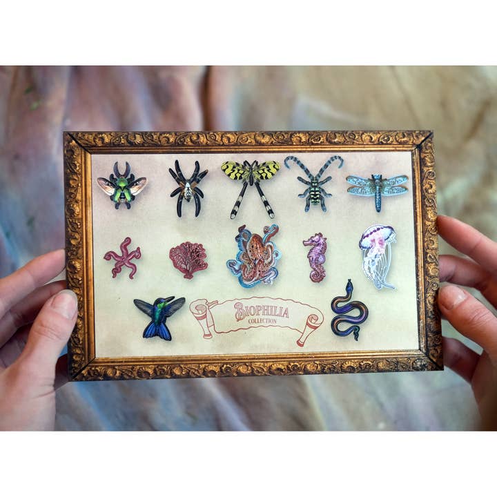 Moth and Myth - Wholesale Decorative figurine - 'Biophilia' Micro Specimen Collection8