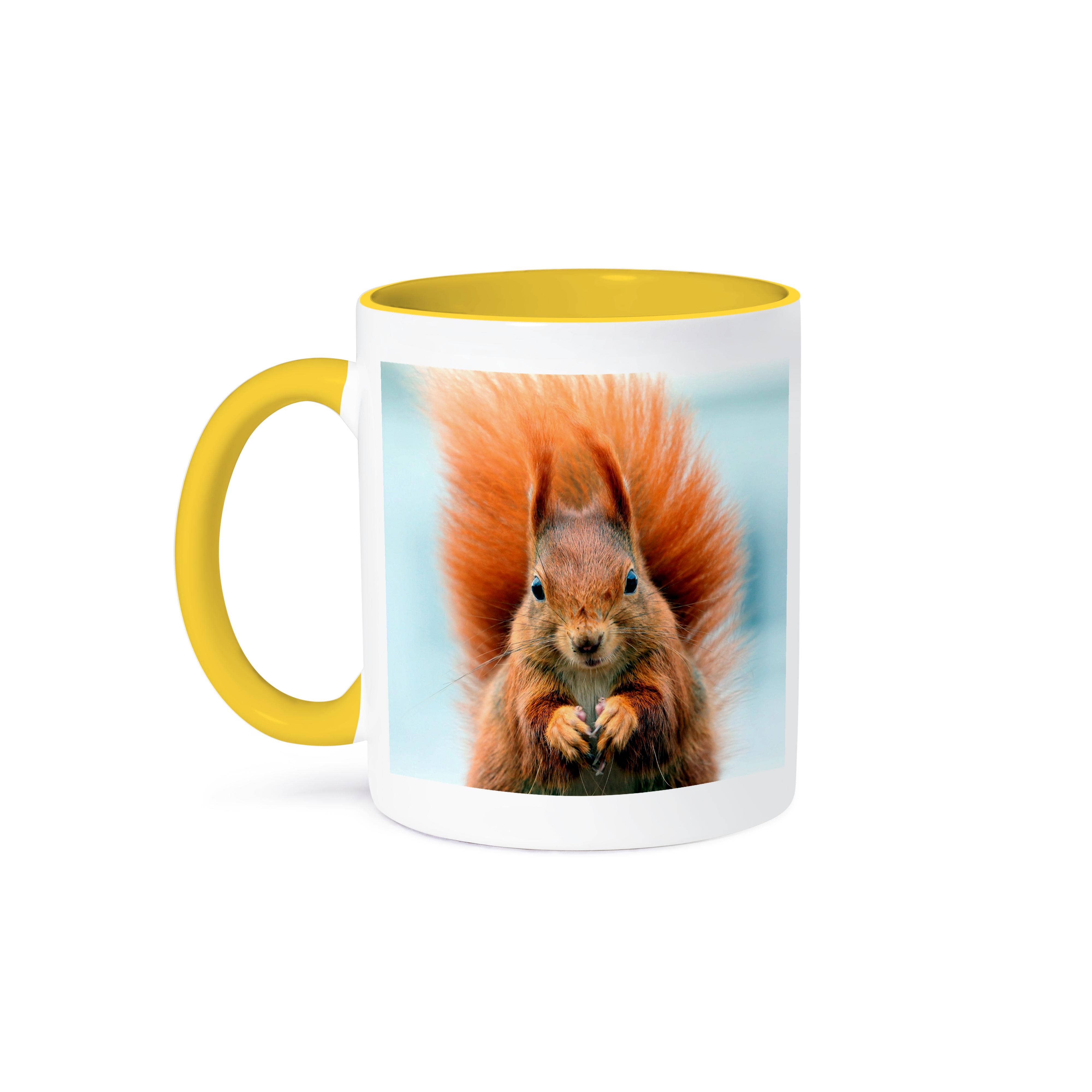 3dRose - Wholesale Coffee Mug - 3dRose, Adorable Red Squirrel, Mug0