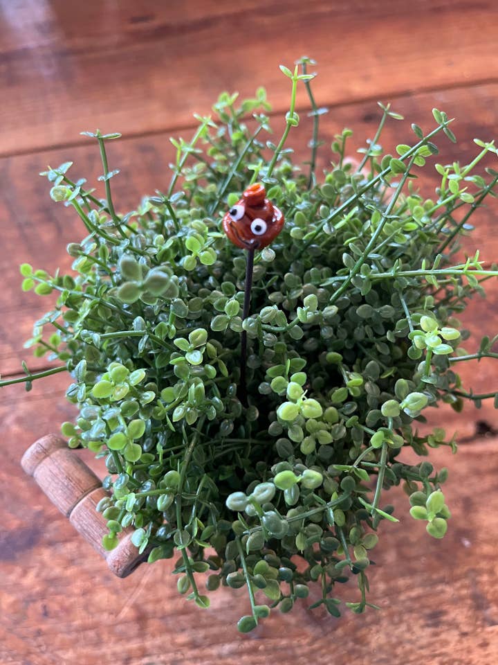 Cocô Emoji Barras de Plantas por atacado de Annie Did It!