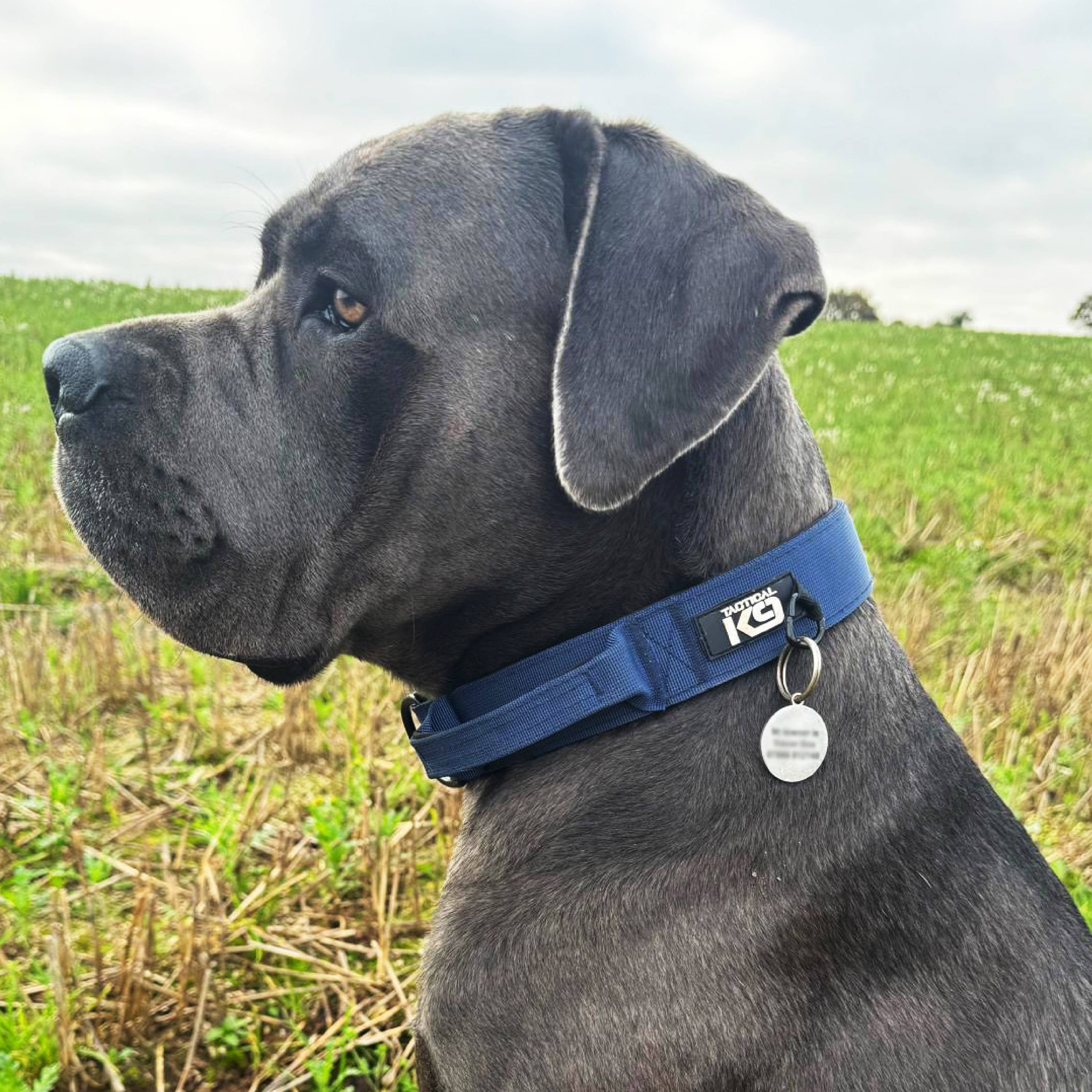 HugglePets – wholesale Pet collar – Dog – HugglePets Tactical K9 Endurance Dog Collar26