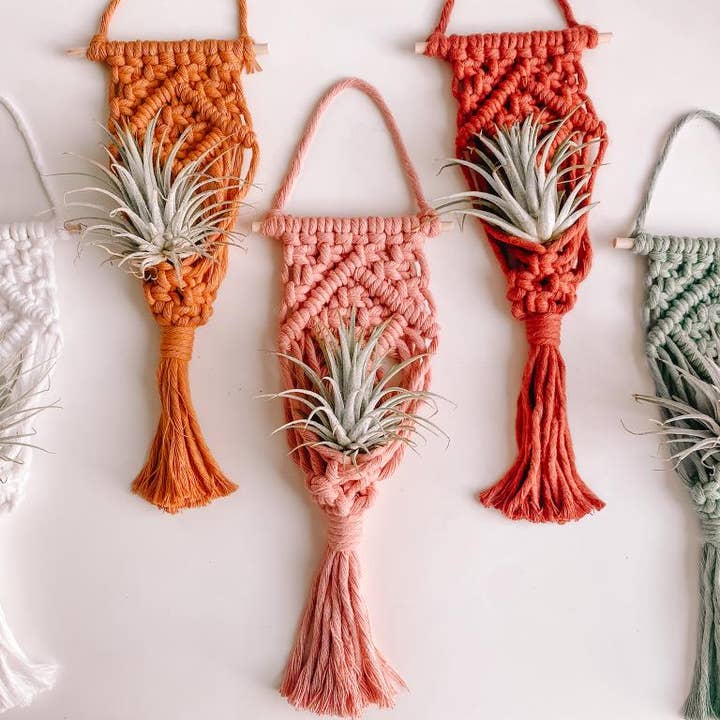 Weavey Studio - Wholesale Hanging planter - Macrame Air Plant Hanger, Macrame plant holder wall hanging4