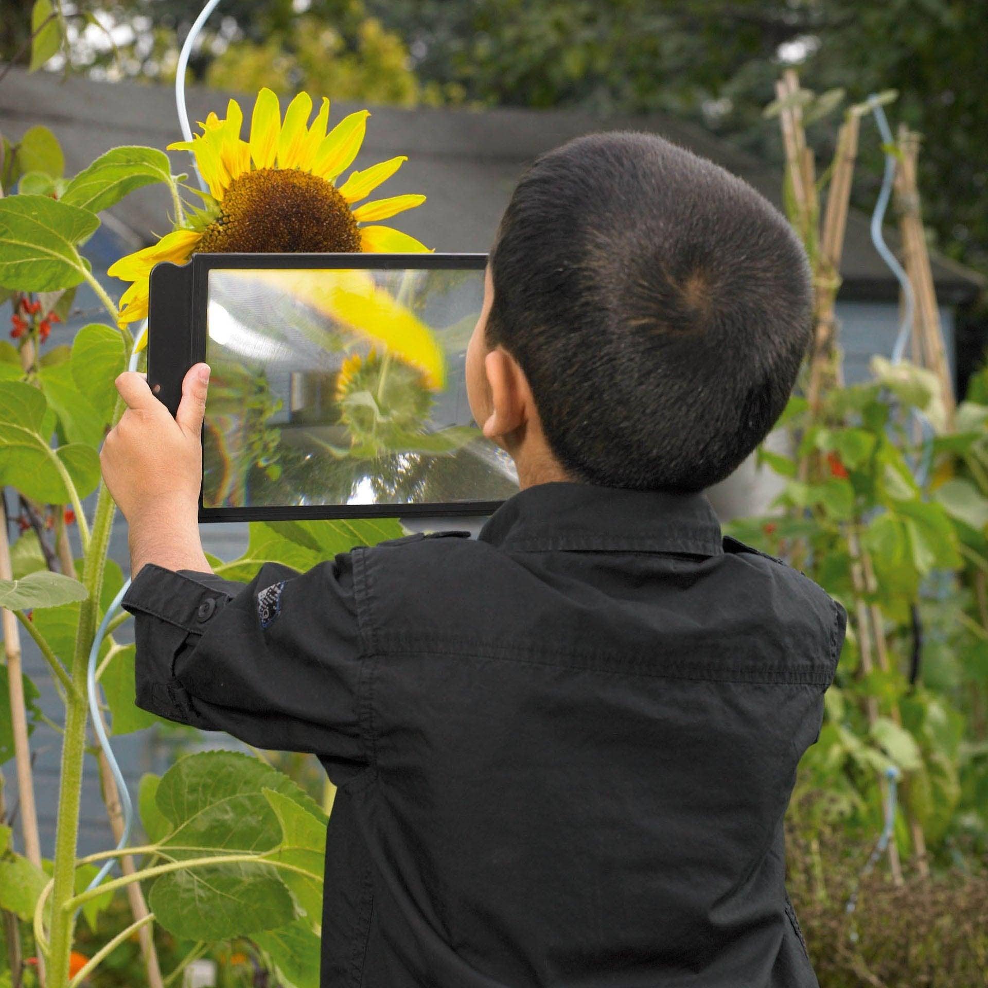 Commotion (Europe) BV - Wholesale Magnifying Glass - Large Sheet Magnifier1