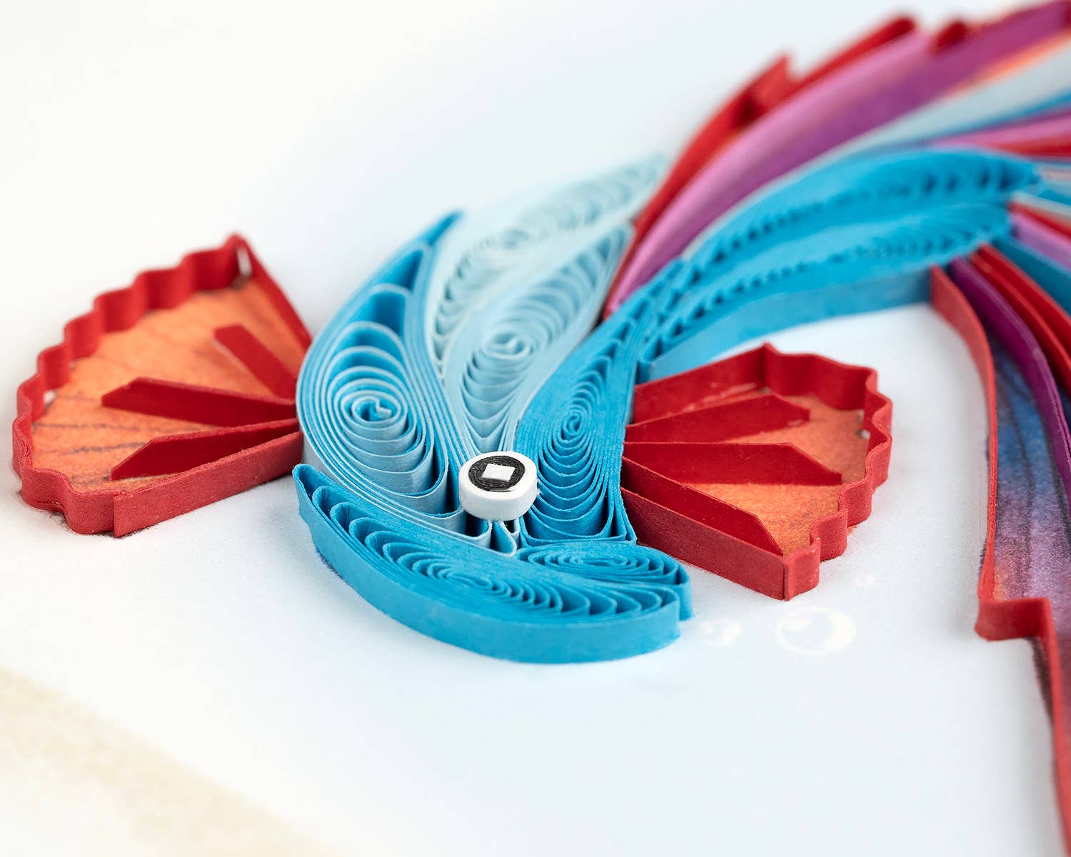Quilling Card - Wholesale Everyday Greeting Card - Betta Fish1