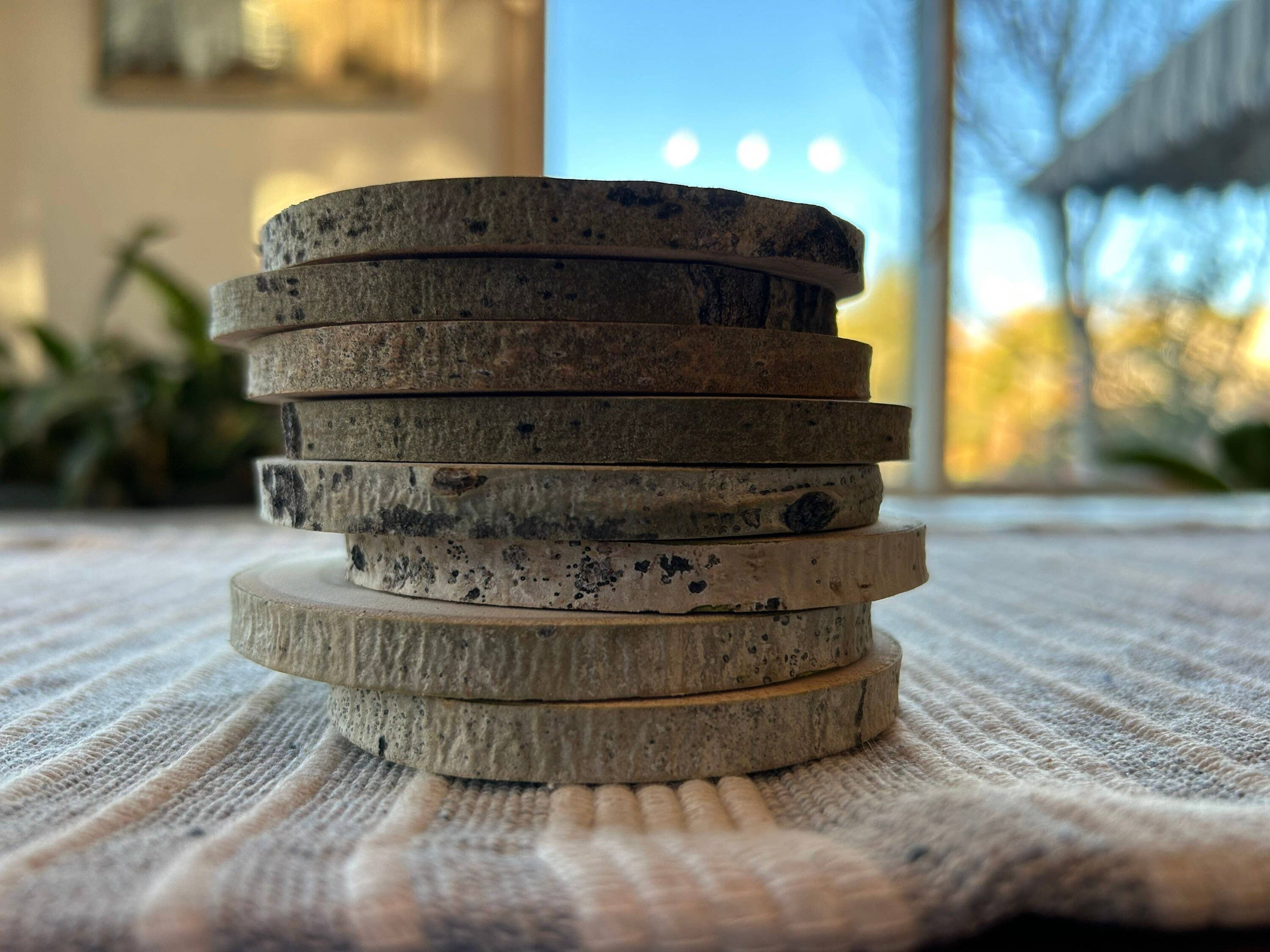 Parks Art Collection - Wholesale Coasters - Bison Coaster, Aspen Wood, Laser Engraved, Buffalo Art2