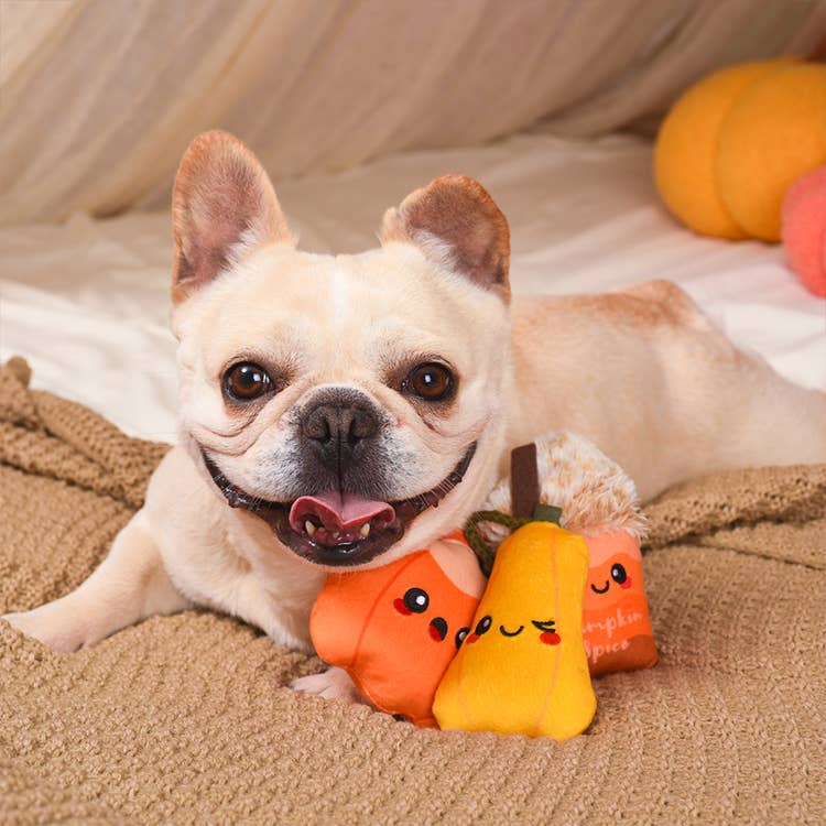 Hugsmart Products Inc - Wholesale Pet Plush Toy - Dog - HugSmart Pet - Autumn Tailz  | Pumpkin Play - Dog Plush Toy2