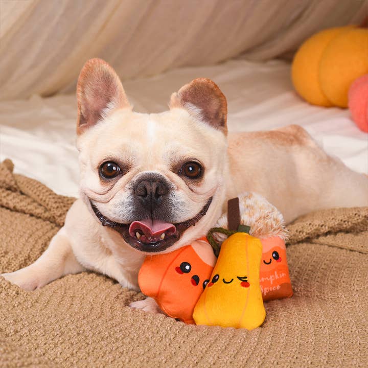 Hugsmart Products Inc - Wholesale Pet Plush Toy - Dog - HugSmart Pet - Autumn Tailz | Pumpkin Play - Dog Plush Toy2