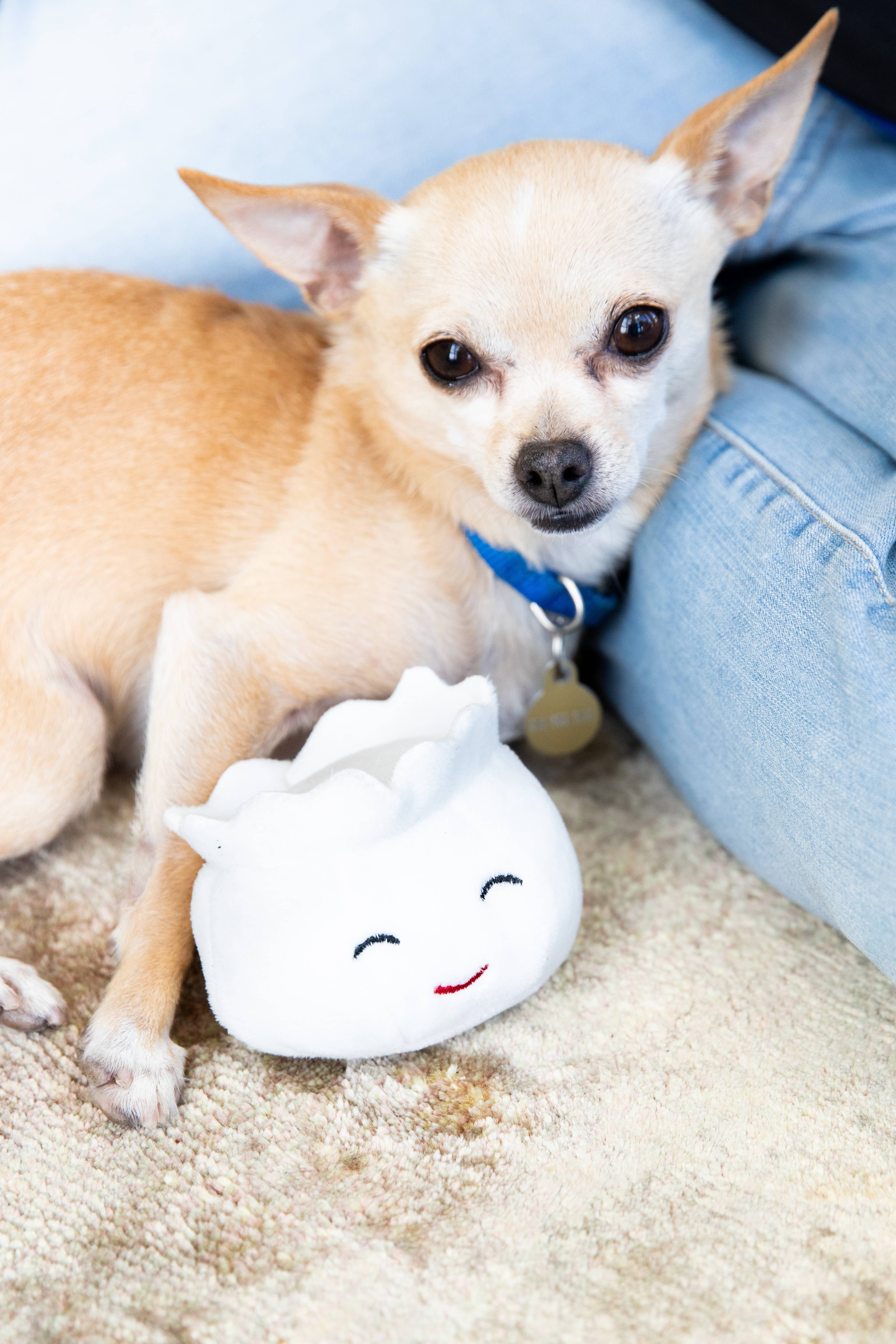 Pearhead - Wholesale Pet Plush Toy - Dog - Dim Sum Pet Toys, Set of 37