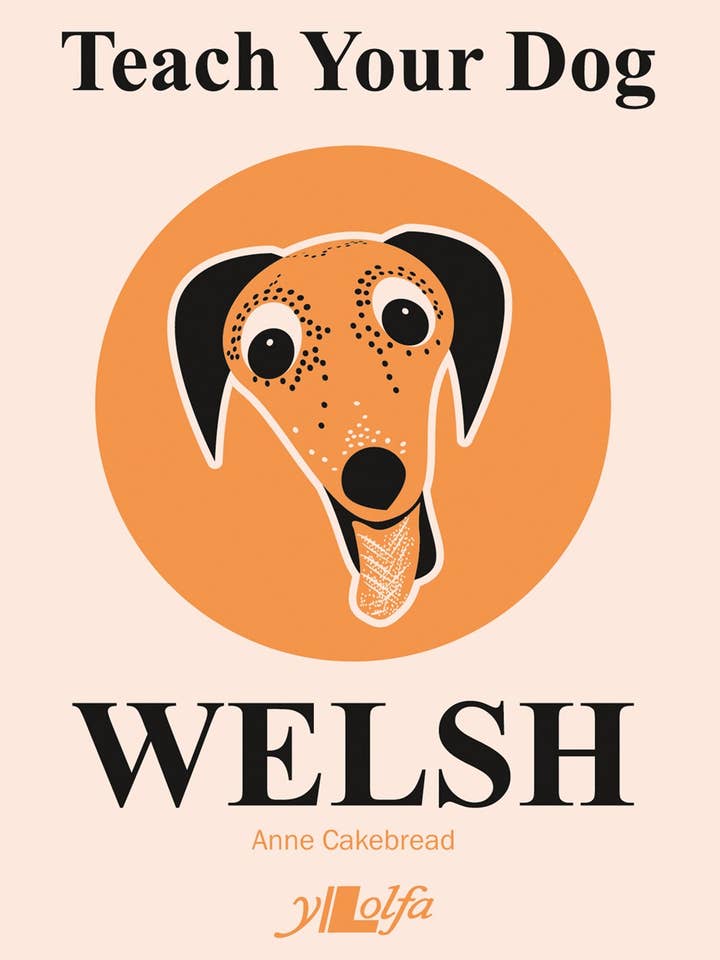 Teach Your Dog Welsh for wholesale by Casemate IPM