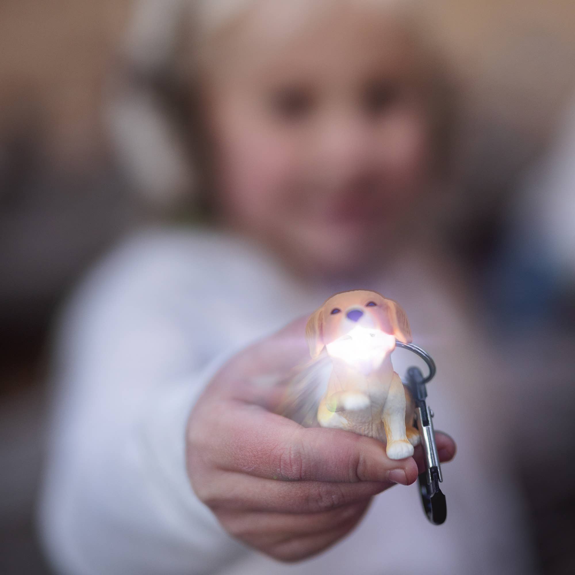 Big Discoveries / Sun Co. - Wholesale Light-Up Toy - Kids & Baby - WildLight Animal Carabiner Flashlight - Retriever Dog2